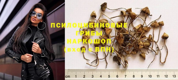 мдпв Гусев